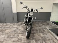 LEXMOTO MICHIGAN