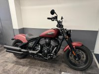 INDIAN CHIEF
