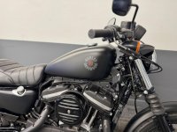 HARLEY-DAVIDSON Sportster